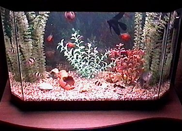 ��� �������� ��� ��������..