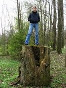 ���� - ���������� �����