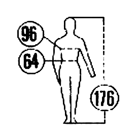 ���� 3636-2004