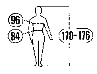 ���� 3636-2004