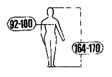 ���� 3636-2004