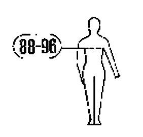 ���� 3636-2004