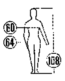 ���� 3636-2004