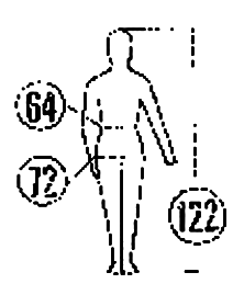 ���� 3636-2004