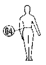 ���� 3636-2004