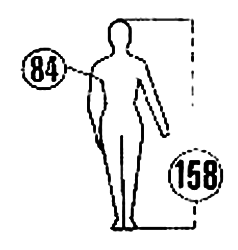 ���� 3636-2004