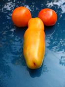 ������ ��������