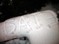  ���� - ����. ���� ��������� 2008-2009