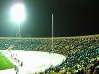  ���� - ����. ���� ��������� 2008-2009