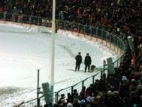  ���� - ����. ���� ��������� 2008-2009