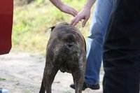  �������!