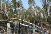  ���� � ��������. ������ 2010