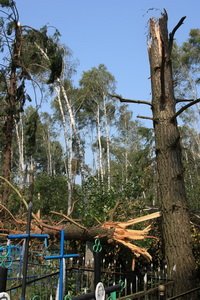  ���� � ��������. ������ 2010