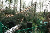  ���� � ��������. ������ 2010