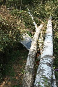  ���� � ��������. ������ 2010