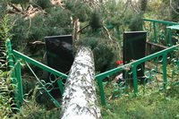  ���� � ��������. ������ 2010