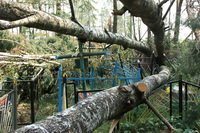  ���� � ��������. ������ 2010