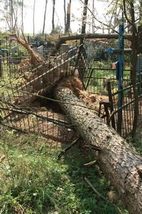  ���� � ��������. ������ 2010