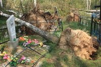  ���� � ��������. ������ 2010