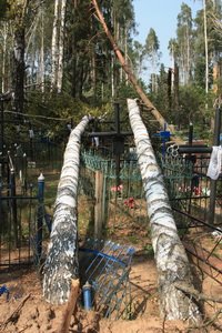  ���� � ��������. ������ 2010