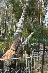  ���� � ��������. ������ 2010