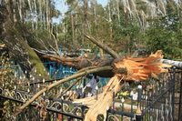  ���� � ��������. ������ 2010