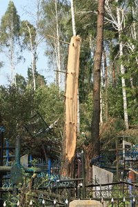  ���� � ��������. ������ 2010