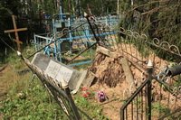  ���� � ��������. ������ 2010