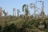  ���� � ��������. ������ 2010