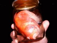  �������� �������