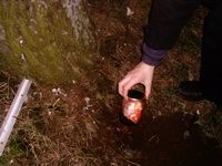  �������� �������