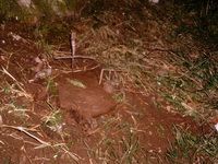  �������� �������