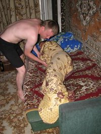  �������������� �����