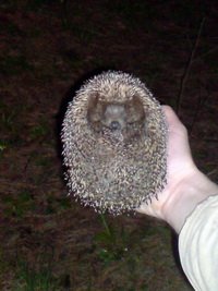  �������� 3D-����