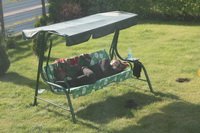  �� ���� 2012