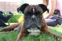  �� ���� 2012