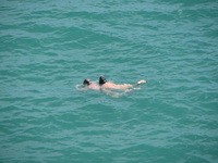  ������ � ������!