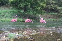  ������� ������� �������